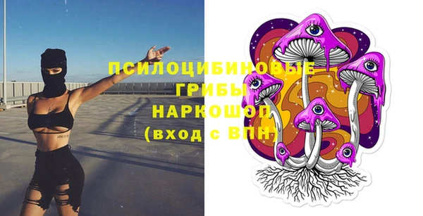 apvp Алексеевка